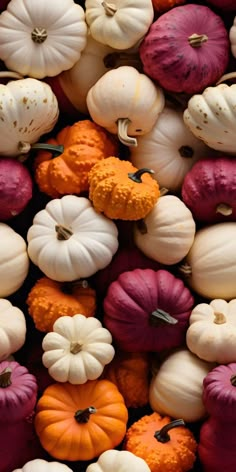 pumpkins and gourds are piled up together