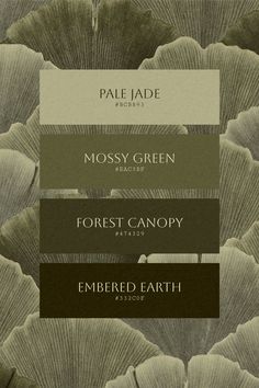 the front cover of mossy green, forest canopy and embered earth by mossy green