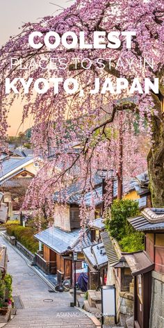 the words coolest places to visit in tokyo japan with cherry blossom trees and buildings