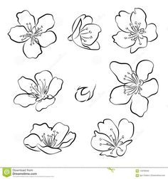 four different types of flowers in black and white, each with an individual's name