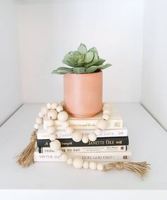 a potted plant sitting on top of three books with tassels around it