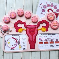 a pink felt board with an image of a female's utensil