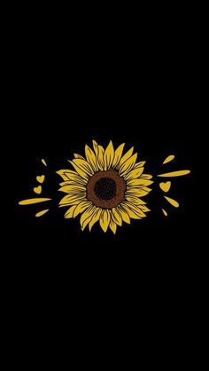 a yellow sunflower on a black background