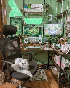 a white cat sitting on top of a black chair in front of a computer desk