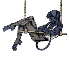 a monkey is sitting on a swing