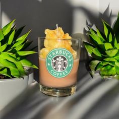 there is a starbucks candle with pineapple in it next to two potted plants