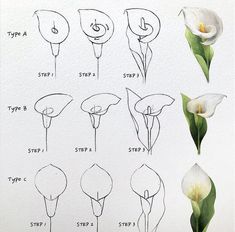 how to draw flowers step by step with pictures for beginners and advanced drawing students