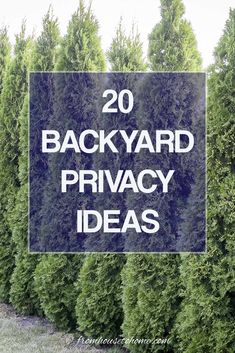 the words backyard privacy ideas in front of a row of trees