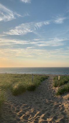 the path to the beach is empty and there are no people on it in the distance