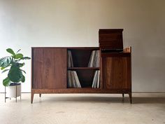 a wooden cabinet with records in it next to a potted plant