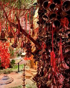 many bells are hanging from the ceiling in this garden area with red flowers and greenery