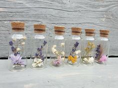 six glass bottles with dried flowers in them