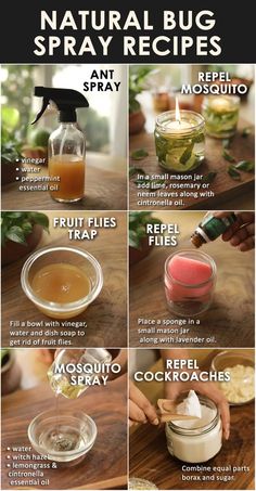 how to make natural bug spray recipe