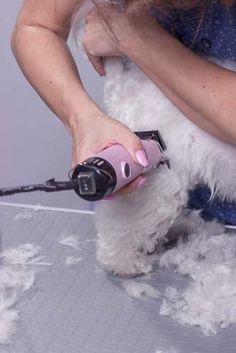 a woman is grooming a dog with a hair dryer