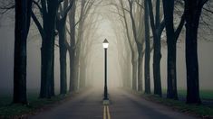 25 " street lamp in the fog " wallpaper iphone download hd 4k » Humbaa.com