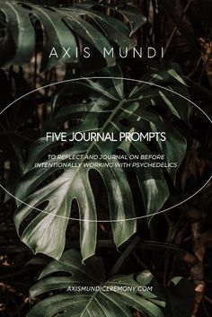 an image of a plant with the words'five journal prompts'on it