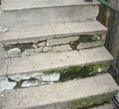 some concrete steps with moss growing on them