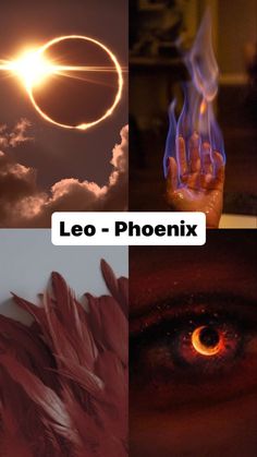 four different pictures with the words leo - phoenix above them