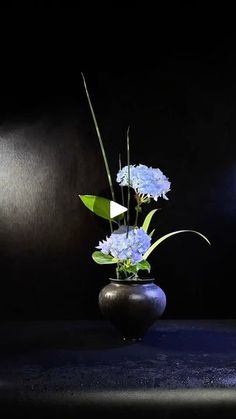 a black vase with blue flowers in it on a dark surface, lit by a light bulb