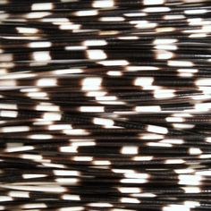 several strands of black, white and brown hair