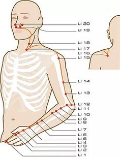 Autumn Healing with TCM: Metal Element's Lung/Large Intestine and Grief Meridian Acupuncture, Meridian Points, Craniosacral Therapy, Shiatsu Massage, Yoga Facial, Acupuncture Points