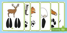 four cards with different animals and footprints on them