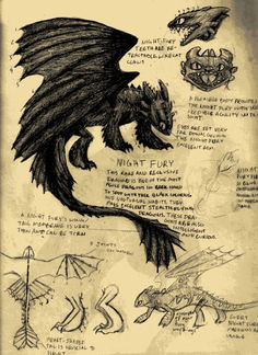 a drawing of a black dragon with its wings spread out and some other things in the background