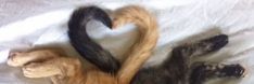 two cats laying on top of a bed next to each other with their tails curled in the shape of a heart