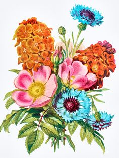 an image of flowers that are in the middle of watercolor and ink on paper