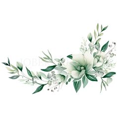 white flowers and green leaves on a white background