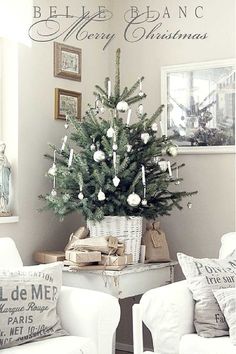 a small christmas tree in a basket on top of a table