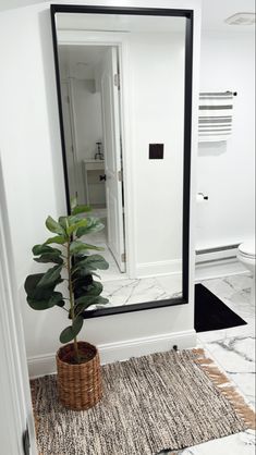 a bathroom with a plant on the floor and a large mirror in the wall above it