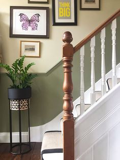 a stair case next to a set of stairs with pictures on the wall above it