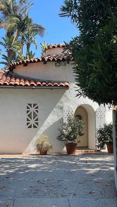 a white building with two potted plants in front of it and palm trees on the other side