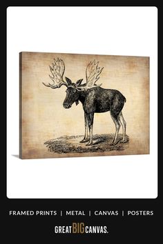 a drawing of a moose with large antlers on it's back and the words, framed prints metal canvass posters great big canvases