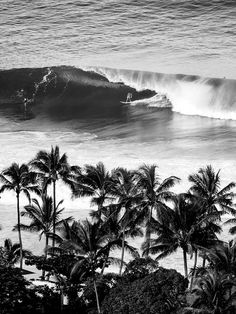 a black and white photo of a surfer riding a wave in the ocean surrounded by palm trees