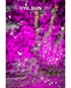 purple flowers with white birds flying around them in the background and an inscription that says oye sun sit on it