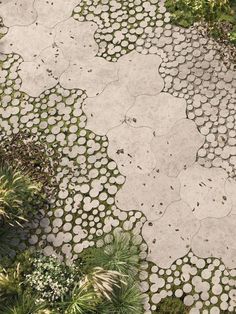 an aerial view of a stone walkway with circles and dots on it, surrounded by greenery