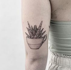 a small potted plant tattoo on the left upper half of the arm, with leaves growing out of it