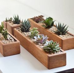 three wooden planters filled with succulents on top of a white table