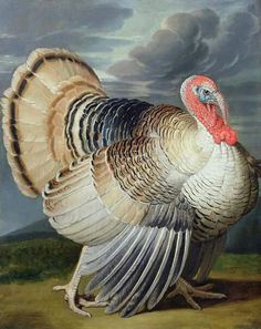 a painting of a turkey standing on the ground