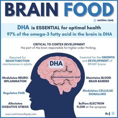 The Ultimate Brain Food Dha Foods, One Brain Cell, Abstract Thinking, Autoimmune Diet, Executive Function, Higher Order Thinking