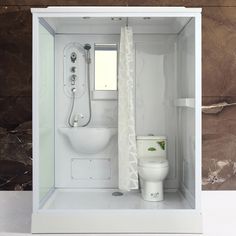 a bathroom with a toilet and shower in it