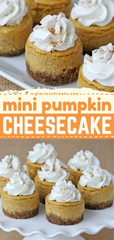 Mini Pumpkin Cheesecake,fall baking, pumpkin recipes, thanksgiving desserts Individual Pumpkin Cheesecake Cups, Thanksgiving Desserts Pumpkin Cheesecake, Small Pumpkin Cheesecake Recipe, Pumpkin Cheesecake Tarts, Mini No Bake Pumpkin Cheesecake, Thanksgiving Recipes Dessert Cheesecake, Thanksgiving Small Desserts, Small Batch Pumpkin Cheesecake, Mini Sweet Potato Cheesecake