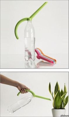 there is a bottle that has some toothbrushes in it and a plant inside