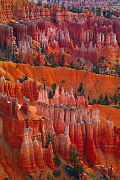 an aerial view of the hoodoos and trees in the canyon, with many colors