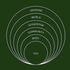 five circles with the words'universe world, ecosytem community, and you