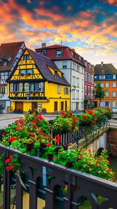 colorful houses and flowers in the foreground at sunset