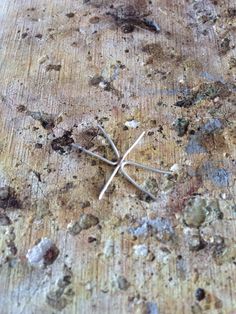 several nails sticking out of the ground on a wooden surface with dirt and rocks all over it