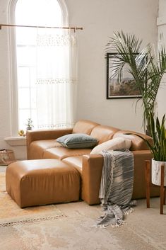 a living room filled with furniture and a large potted plant in front of a window